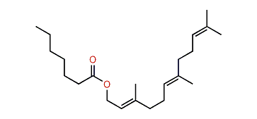 (E,E)-3,7,11-Trimethyl-2,6,10-dodecatrienyl heptanoate